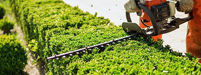 Lawn Care - Tier Two