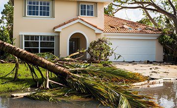 murray-works-services-debris-removal